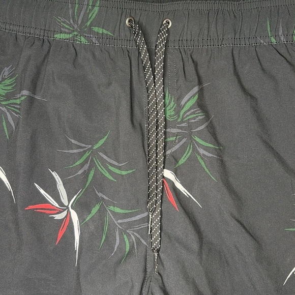 Quiksilver Everyday Mix 17” Volley Swim Trunks with Bird of Paradise Print - Picture 4 of 8